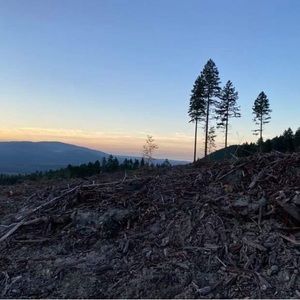 Meet your Posher, Ciarra